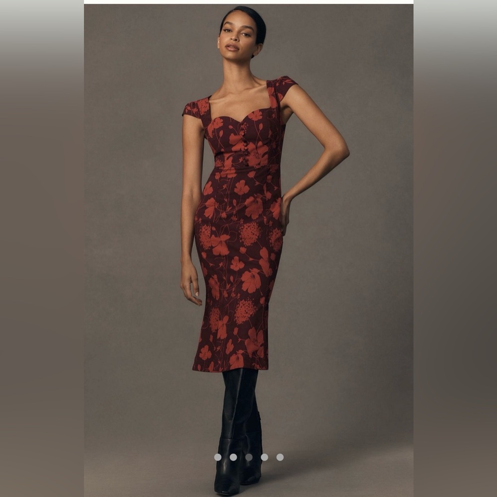 Anthropologie Cecily Fit and Flare Sweetheart Dress M.
